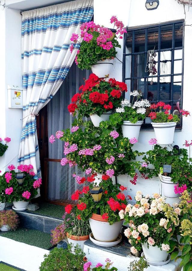 Ferienwohnung Casa Alhambra - Centro Historico Con Jardin Privado Granada Exterior foto