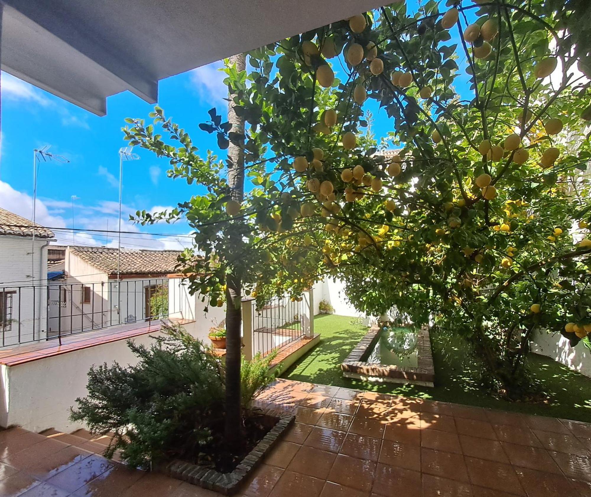 Ferienwohnung Casa Alhambra - Centro Historico Con Jardin Privado Granada Exterior foto